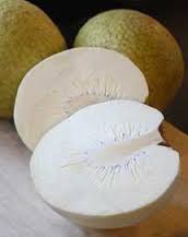 Breadfruit