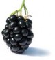 Black Berry