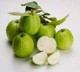 Guava