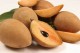Sapodilla 