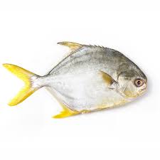 Pompano