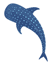 Whale