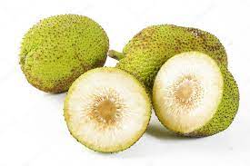 Breadfruit