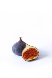 Fig