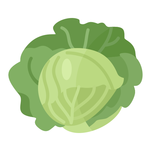 Cabbage