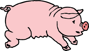 Pig